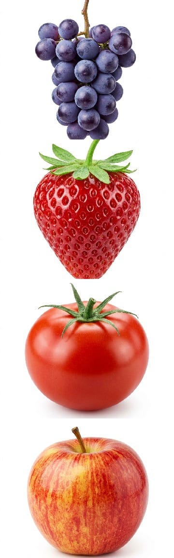 Doğa Trivia Sorusu: Gala ve Fuji ne türlerdir?