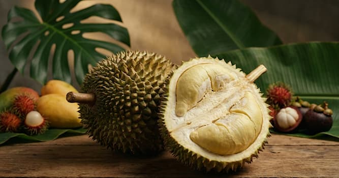 Kültür Trivia Sorusu: Güneydoğu Asya'nın meyveler kralı?