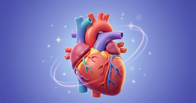 Bilim Trivia Sorusu: Hangi organ kan pompalar?