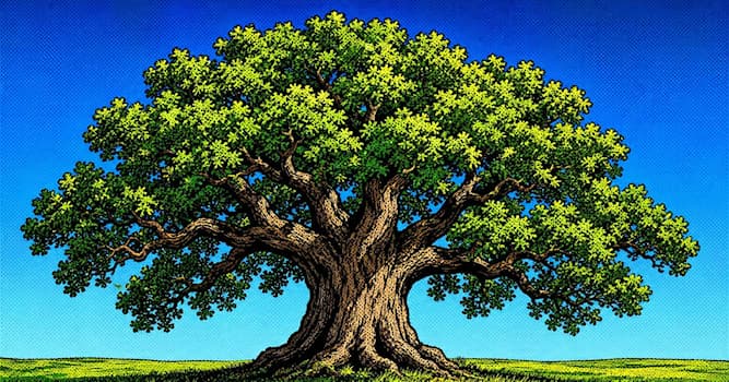 Doğa Trivia Sorusu: Meşe — nedir?